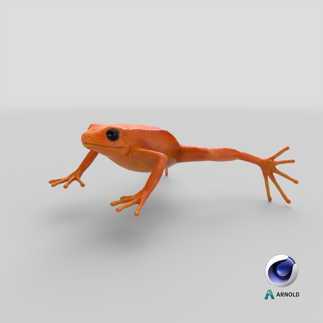 3d mantella frog https://p.turbosquid.com/ts-thumb/dw/dUp0ZK/vx/stemcell_cinema_4d_arnold_render/png/1669111513/1920x1080/fit_q87/03ebbe0c109a6dfac2acf47a6cfbfbcfcd8b0992/stemcell_cinema_4d_arnold_render.jpg