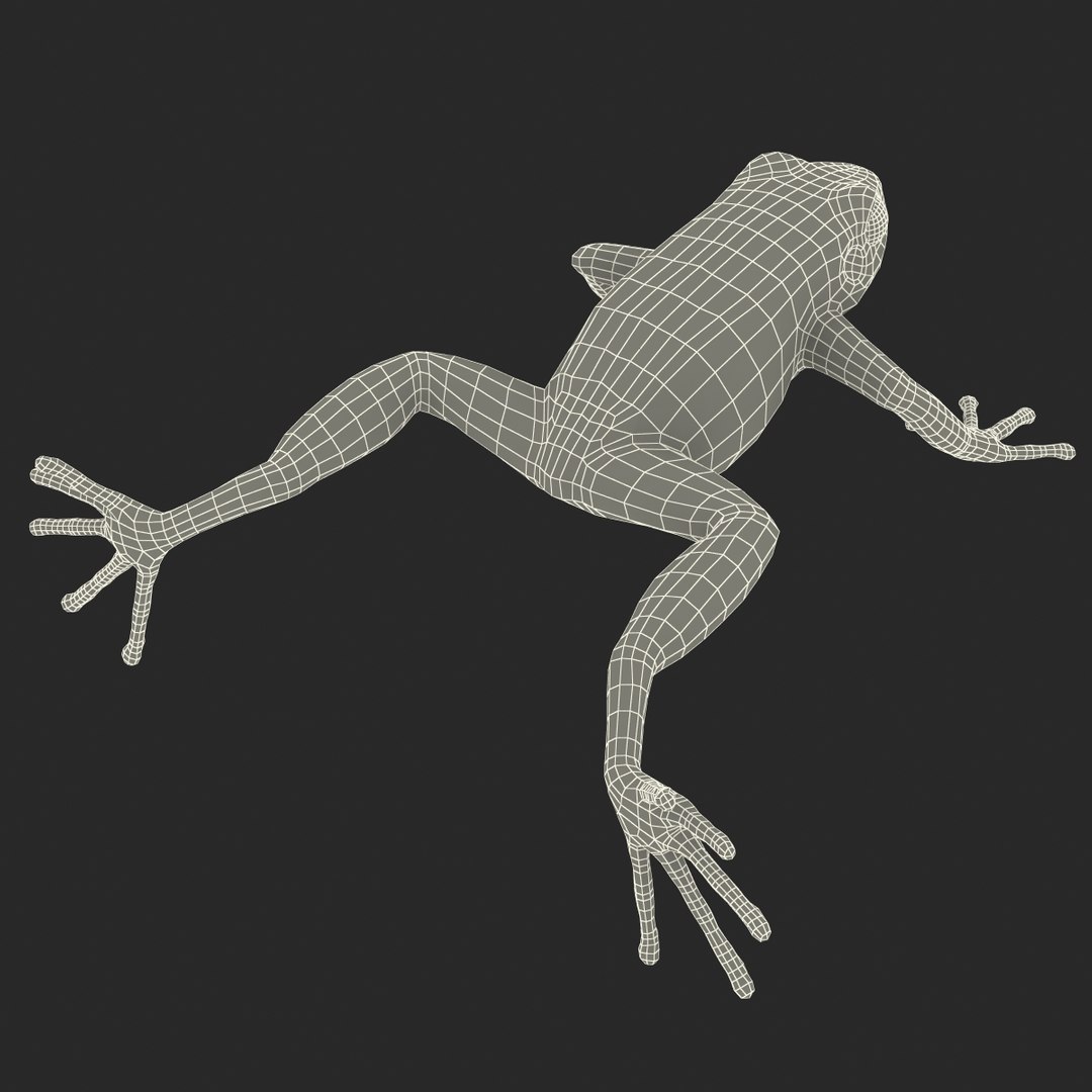 3d mantella frog https://p.turbosquid.com/ts-thumb/dw/dUp0ZK/yxCBoLU0/mantellafrog3dmodel23/jpg/1452417065/1920x1080/fit_q87/9c7b1dd9e52a7c56e2b51aa540927c02c24b76bb/mantellafrog3dmodel23.jpg