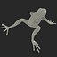 Mantella Frog 3D Model
