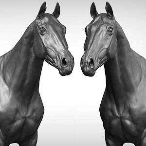 Horse Most Realistic