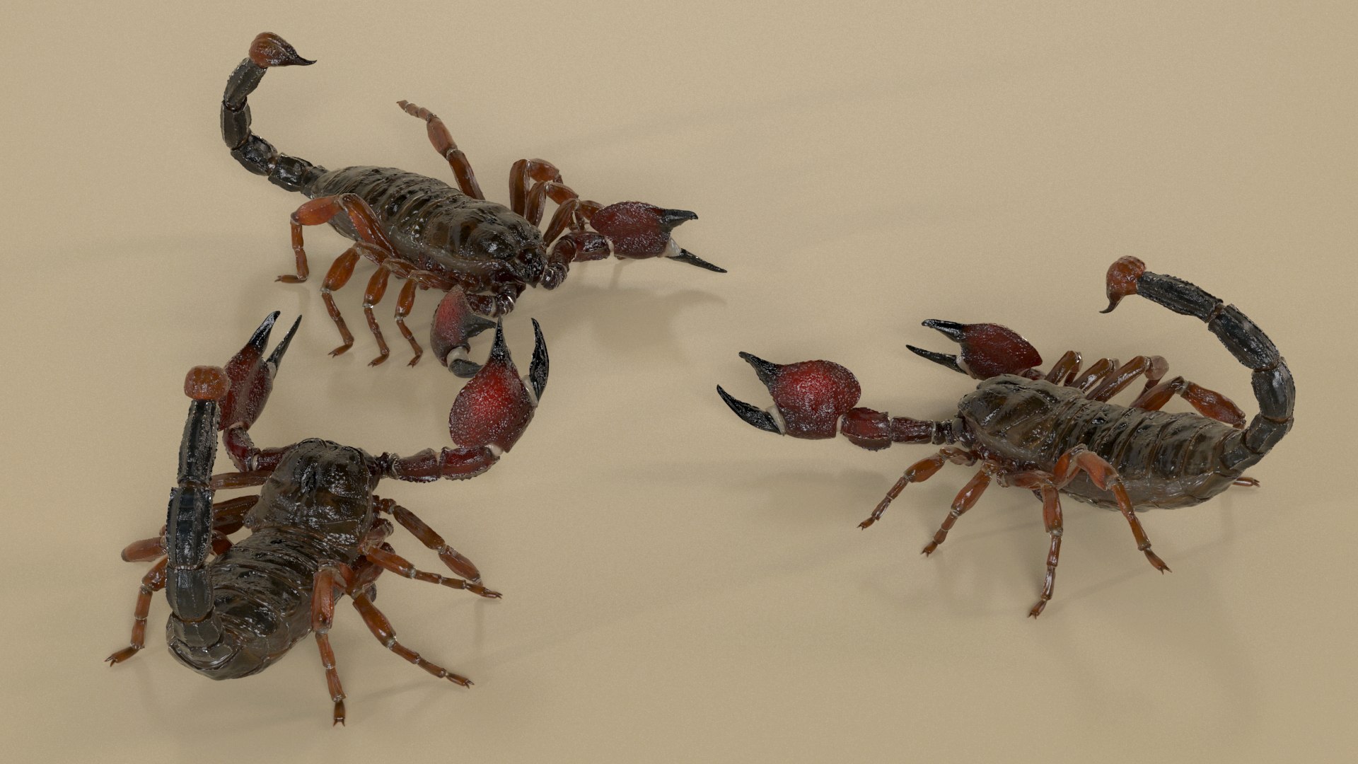 Walking Scorpion Animated Rigged 3D Model - TurboSquid 2407400