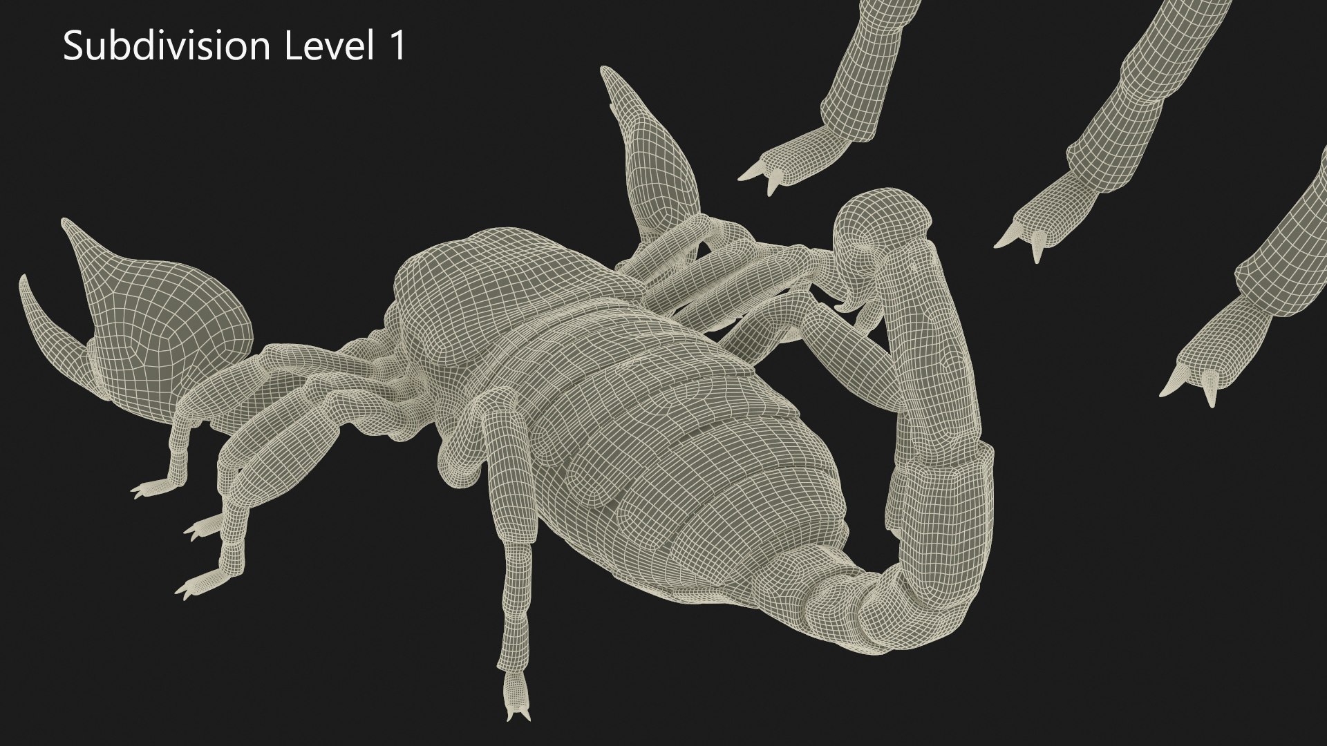 Walking Scorpion Animated Rigged 3D Model - TurboSquid 2407400