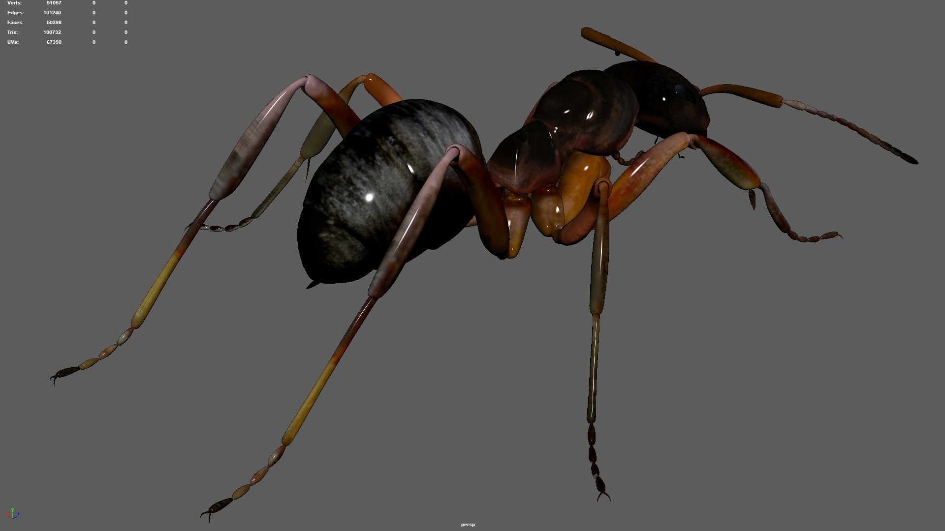 ant 3D https://p.turbosquid.com/ts-thumb/dw/m9eyPi/ZFPlNK1T/24/jpg/1586505098/1920x1080/fit_q87/431f286b0720c8a69fc72c726d8a1f18064838d8/24.jpg