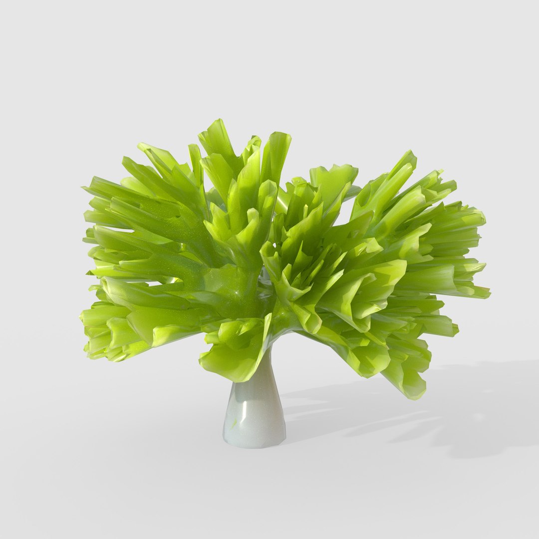 3D Photorealistic Seaweed Pack https://p.turbosquid.com/ts-thumb/dw/pZrGen/s7/11/jpg/1776757454/1920x1080/fit_q87/bc0f2d027f2faed3998e136867474caea7e26763/11.jpg