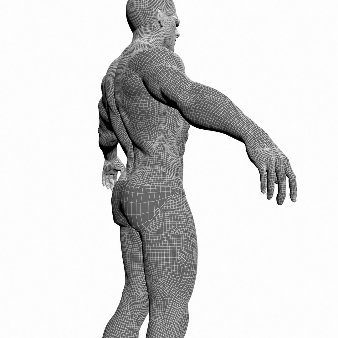 3d Model Swimmer Character Swim