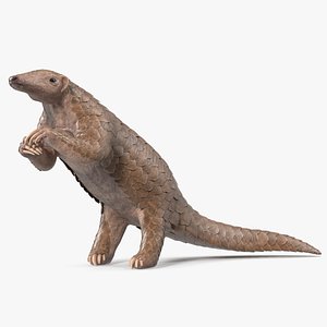 3D Realistic Pangolin in Standing Pose model
