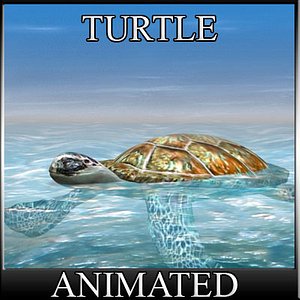 obj water turtle