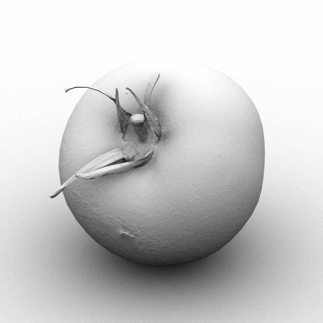 6 vegetables 3d model https://p.turbosquid.com/ts-thumb/dx/Iqzv3S/G8oYcCoJ/tomato_6/png/1454597514/1920x1080/fit_q87/12e8ab32245fc091b15b91a02c45973125c9cda1/tomato_6.jpg