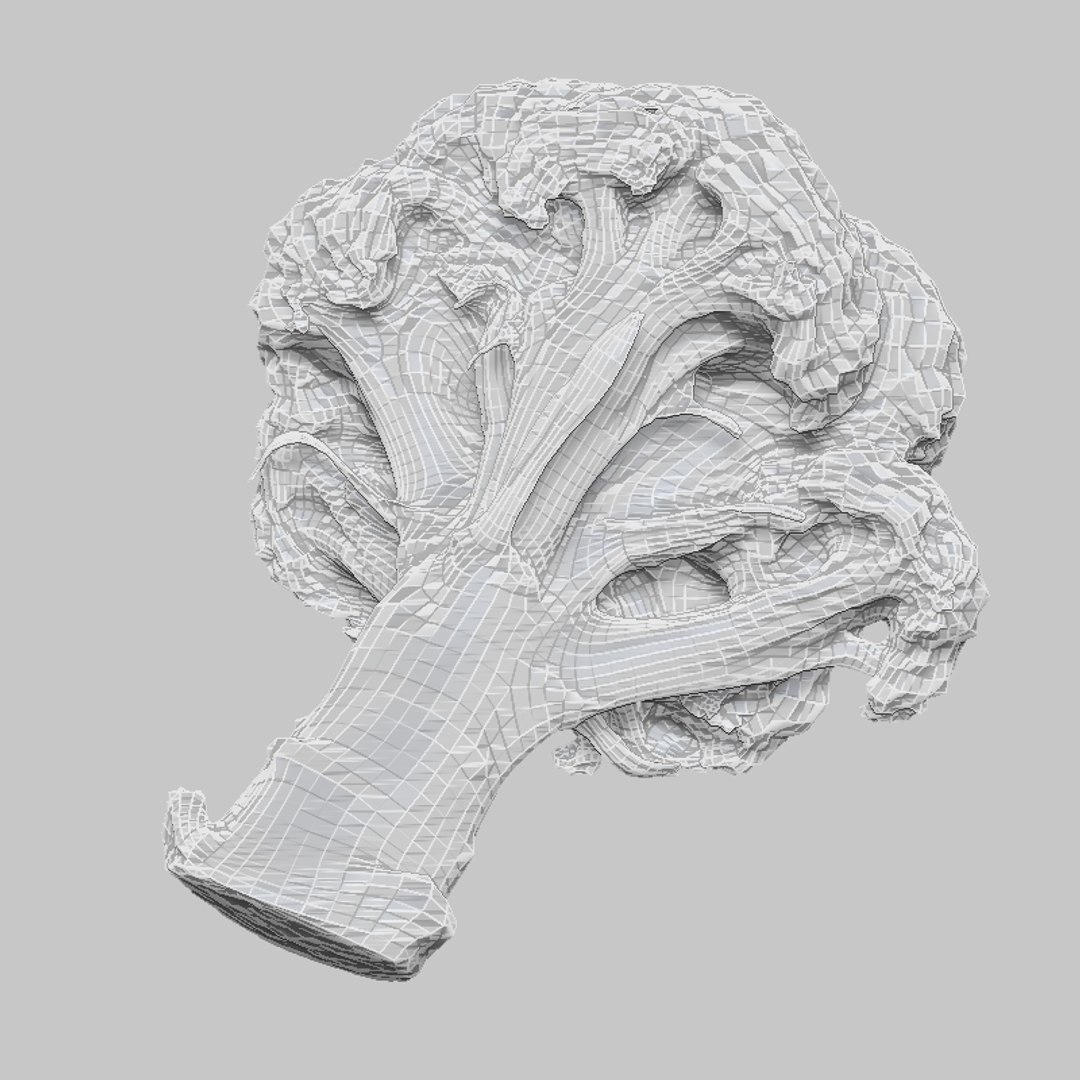 6 vegetables 3d model https://p.turbosquid.com/ts-thumb/dx/Iqzv3S/jZVIC3sN/broccoli/jpg/1454597513/1920x1080/fit_q87/af54e53724fac2a30c8d9b84ec0bb69293269963/broccoli.jpg
