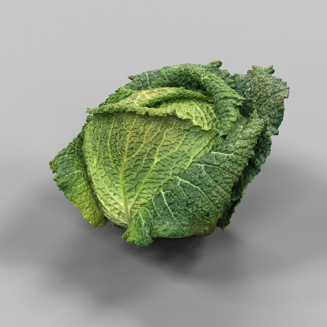 6 vegetables 3d model https://p.turbosquid.com/ts-thumb/dx/Iqzv3S/vz1TzW1C/savoi_cabbage_1/png/1454597514/1920x1080/fit_q87/afec4d55dd4d8e021c0764439732511121b7d42b/savoi_cabbage_1.jpg
