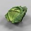 6 Vegetables