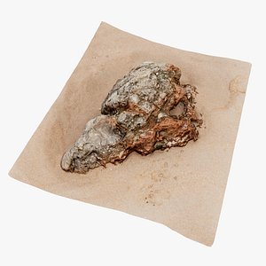 Beach Rock Scan 06 16K