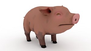 Pig