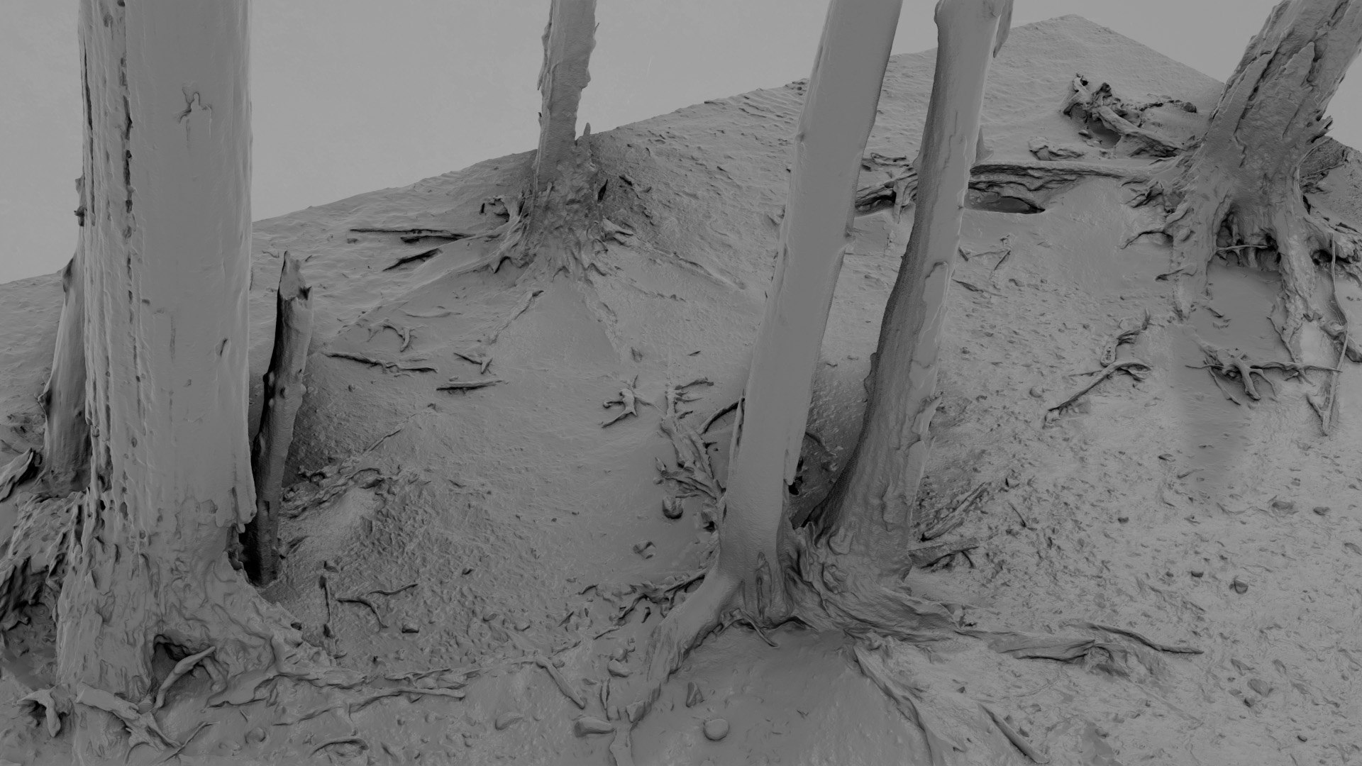 Dead Tree 017 Model - TurboSquid 2371317