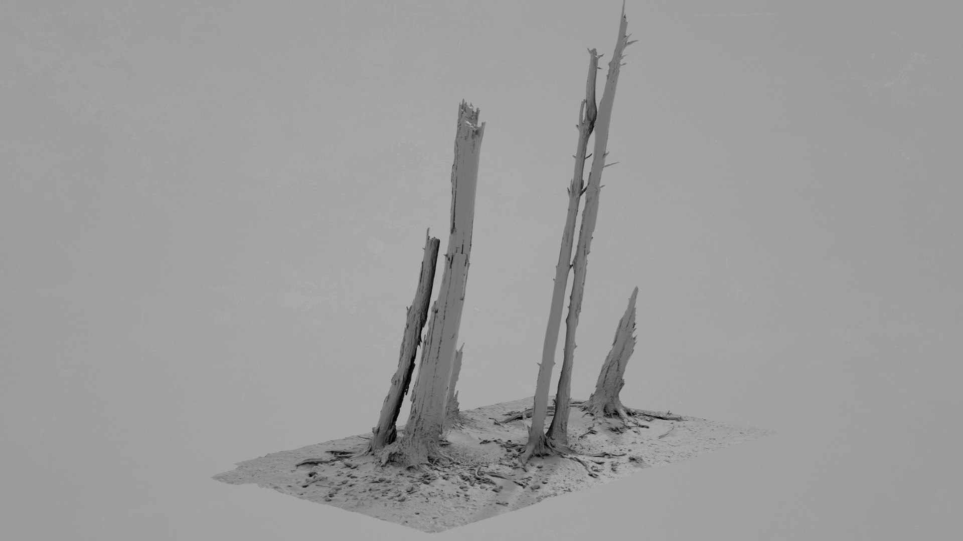 Dead Tree 017 Model - TurboSquid 2371317