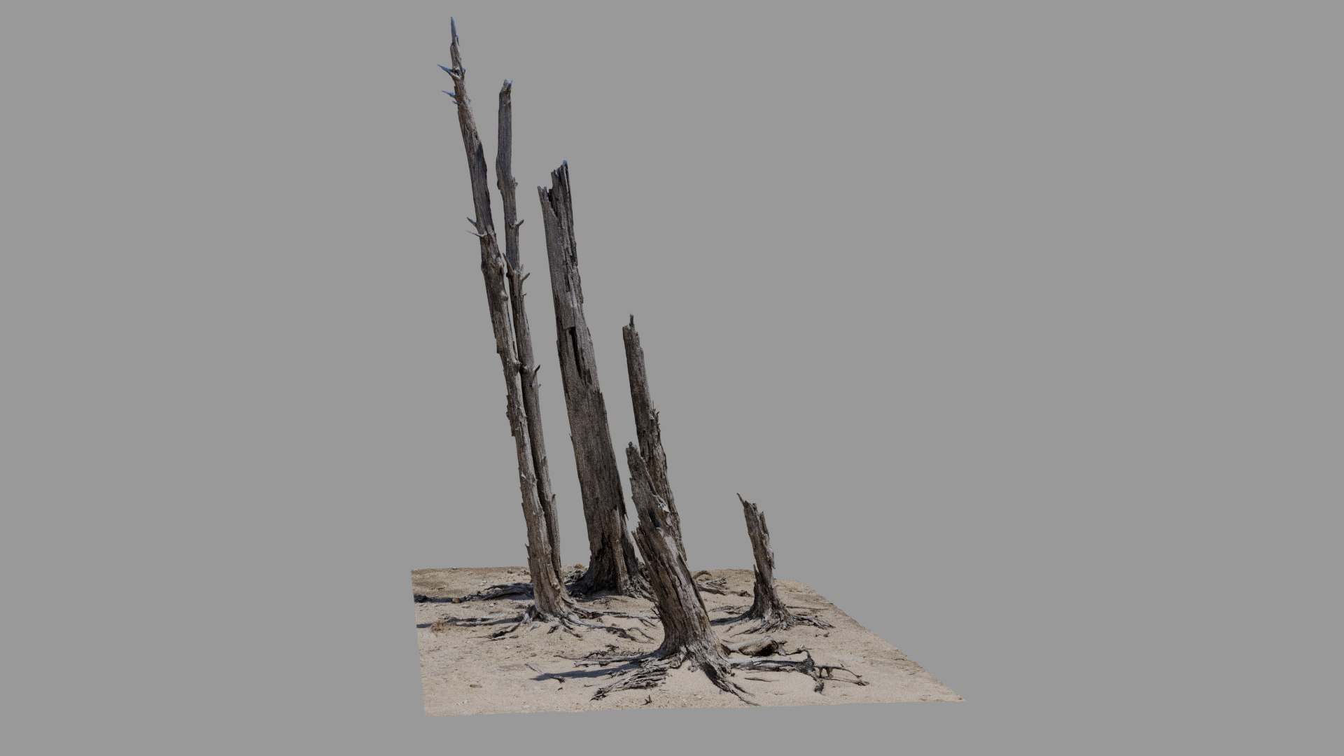 Dead Tree 017 Model - TurboSquid 2371317
