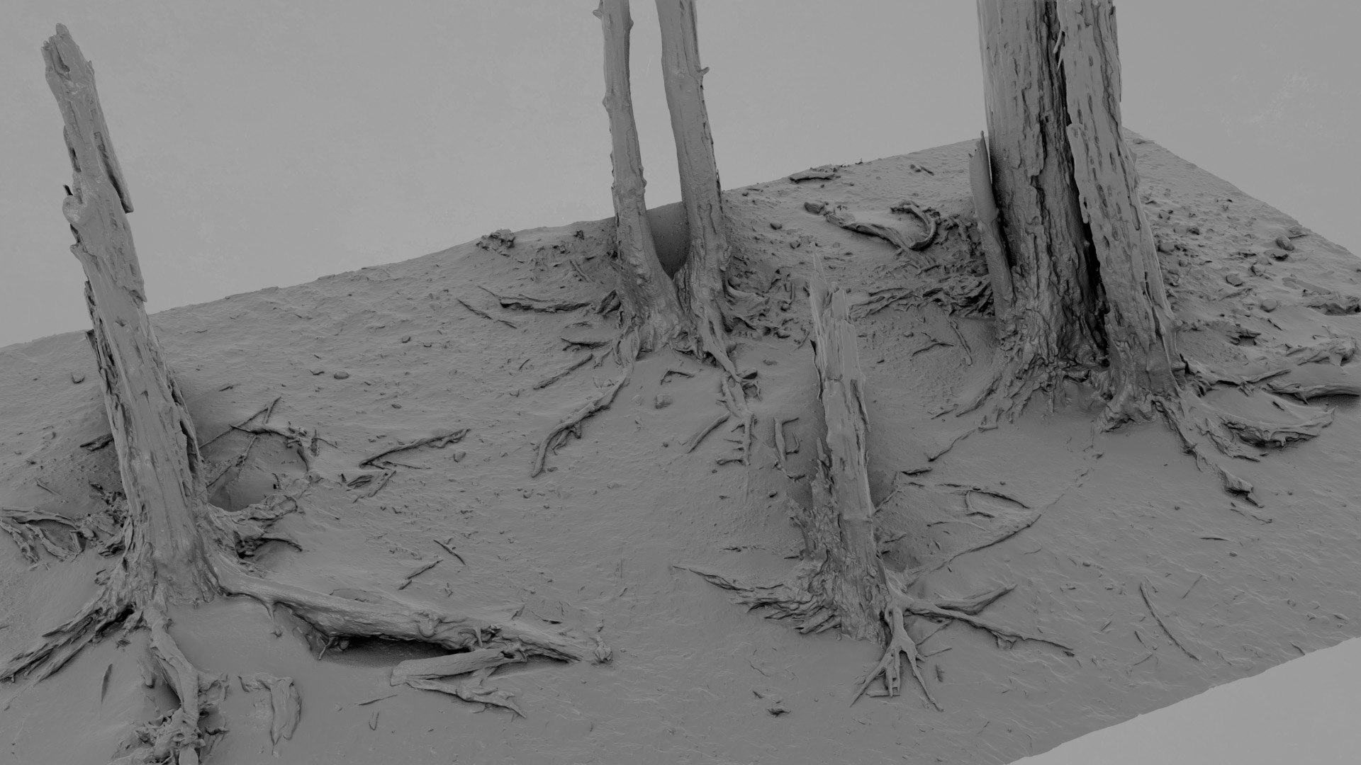 Dead Tree 017 Model - TurboSquid 2371317