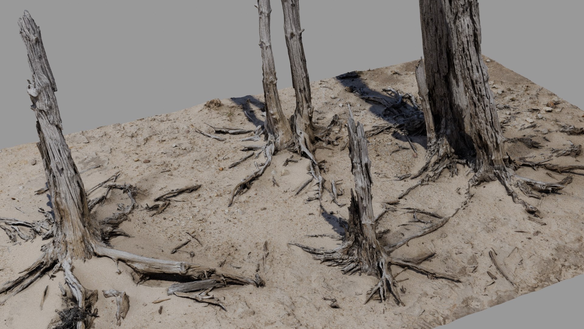 Dead Tree 017 Model - TurboSquid 2371317