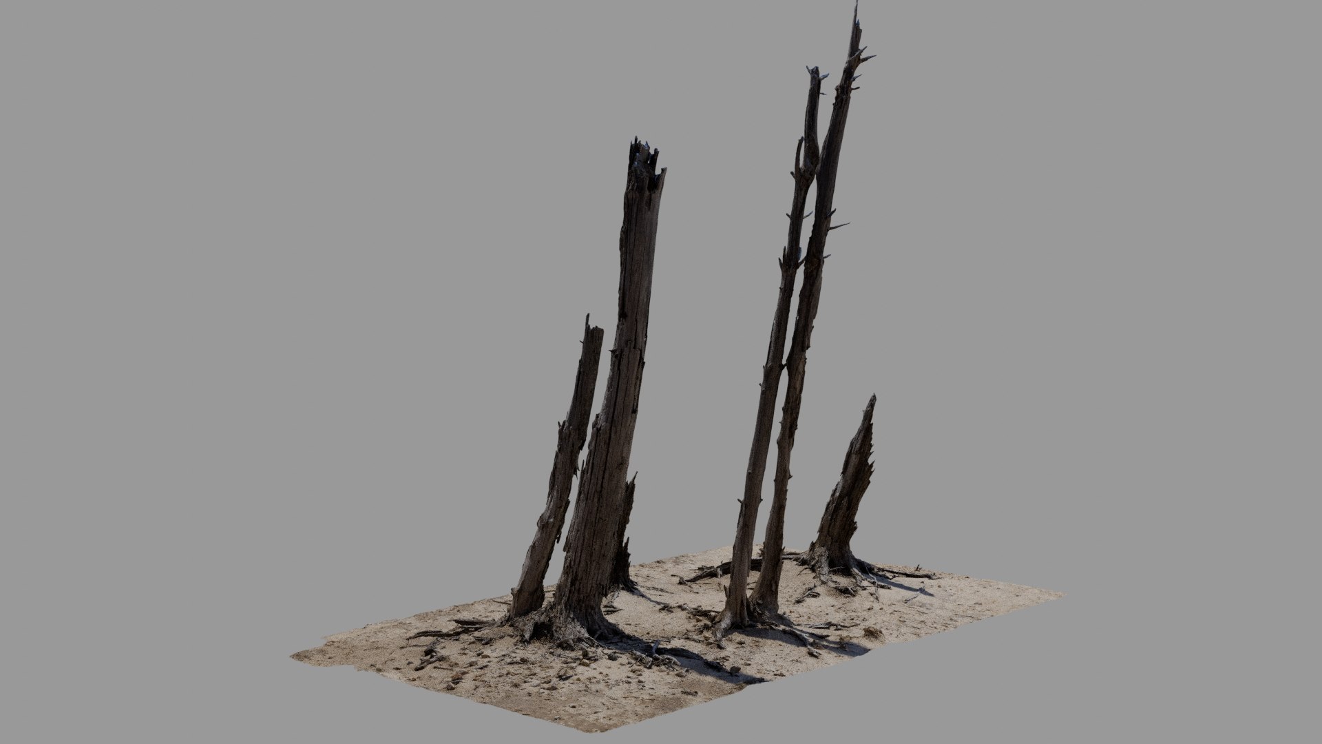 Dead Tree 017 Model - TurboSquid 2371317
