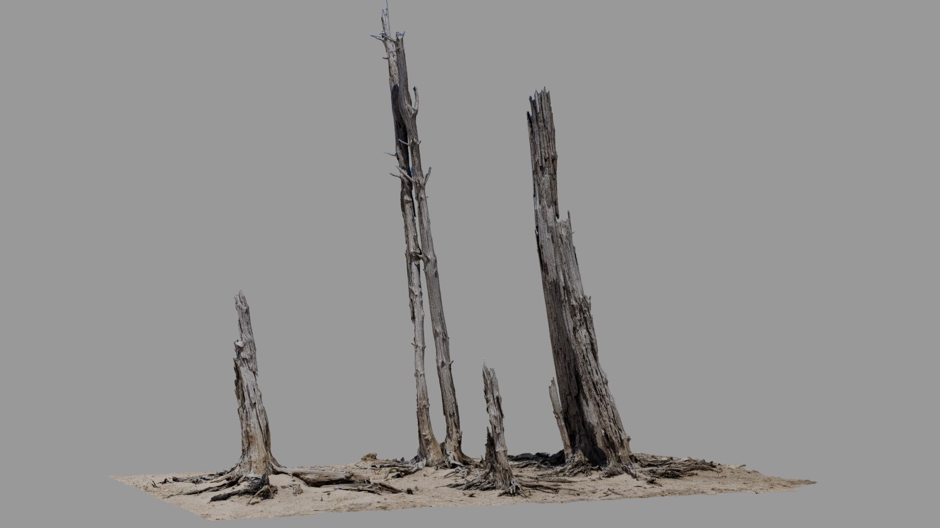 Dead Tree 017 Model - TurboSquid 2371317