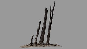 Dead Tree 017