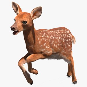 3D White-Tailed Fawn Deer Fur Rigged for Cinema 4D