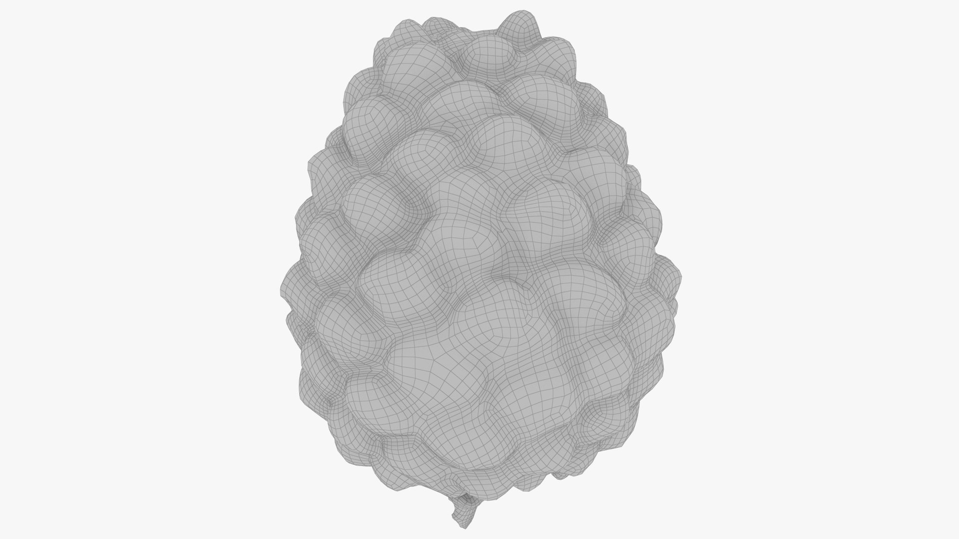 3D Conifer Cones Collection V4 model https://p.turbosquid.com/ts-thumb/dx/e1LvTl/y7/yc1_004_016/jpg/1705269818/1920x1080/fit_q87/076a446a87a72ded2f3a1d6e6cec40e0e0f73924/yc1_004_016.jpg