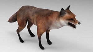 red fox 3D