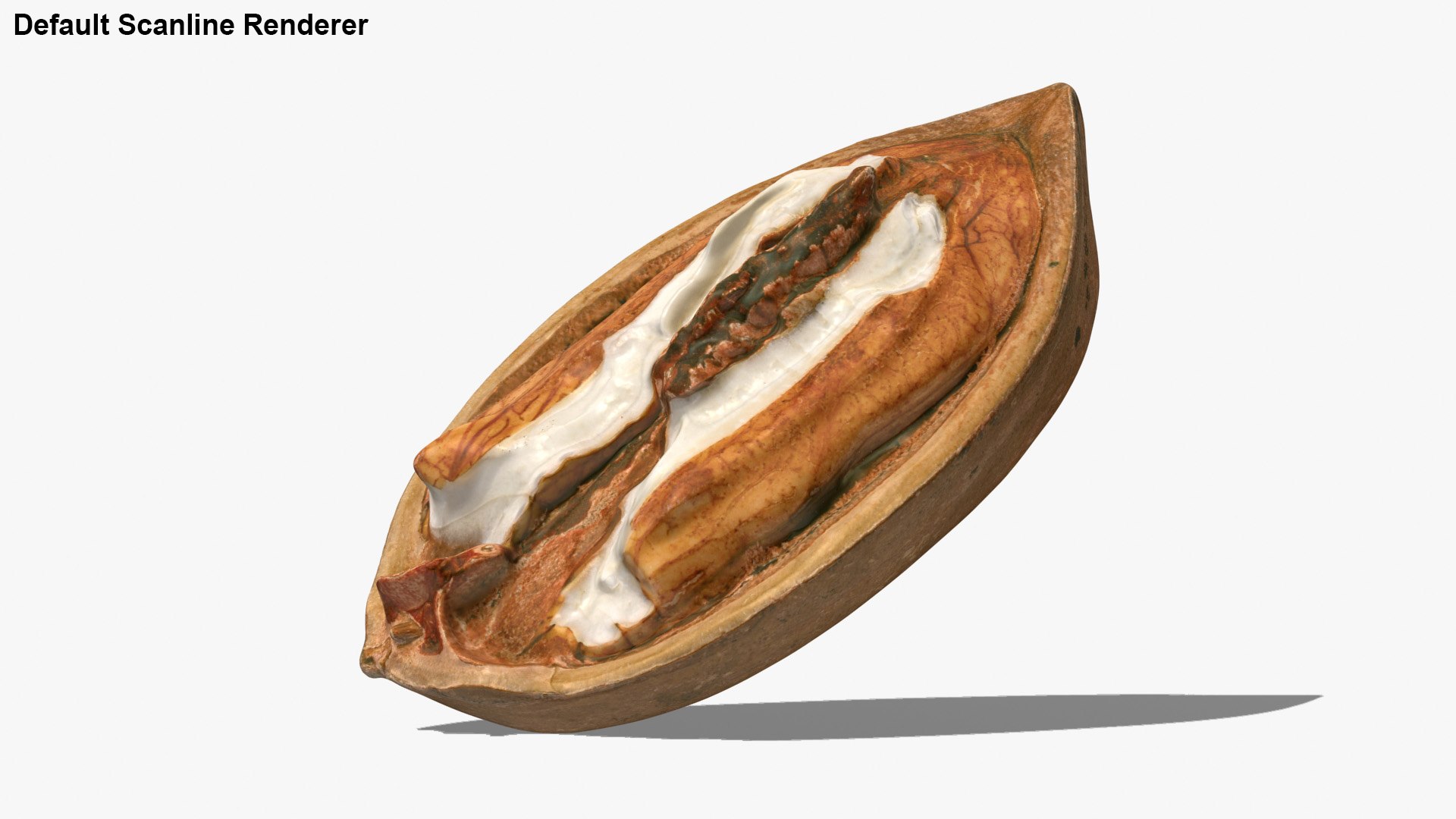 Pecan Shell Half
