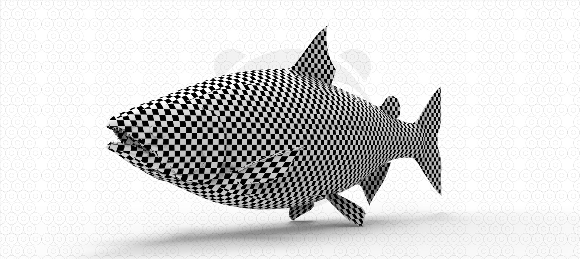3D Model Salmon - TurboSquid 2200536