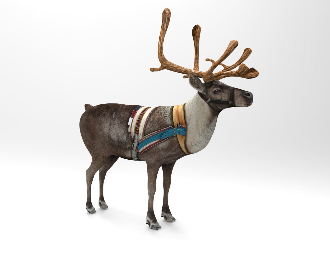 reindeer rigged deer 3D https://p.turbosquid.com/ts-thumb/dx/mdW0on/I7x9fO0U/untitled.180/jpg/1506596232/1920x1080/fit_q87/1c82ba7ef33b8d02f6c2bb9c96713dadaf0018da/untitled.180.jpg