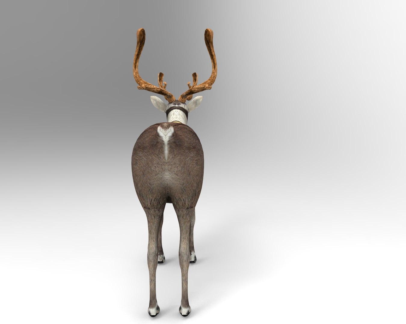 reindeer rigged deer 3D https://p.turbosquid.com/ts-thumb/dx/mdW0on/Ia4KgnbR/untitled.176/jpg/1506596232/1920x1080/fit_q87/a93b48d3fa832d16d702d9ae00b4125396e8f870/untitled.176.jpg