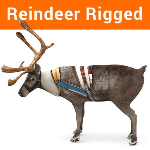 reindeer rigged deer 3D