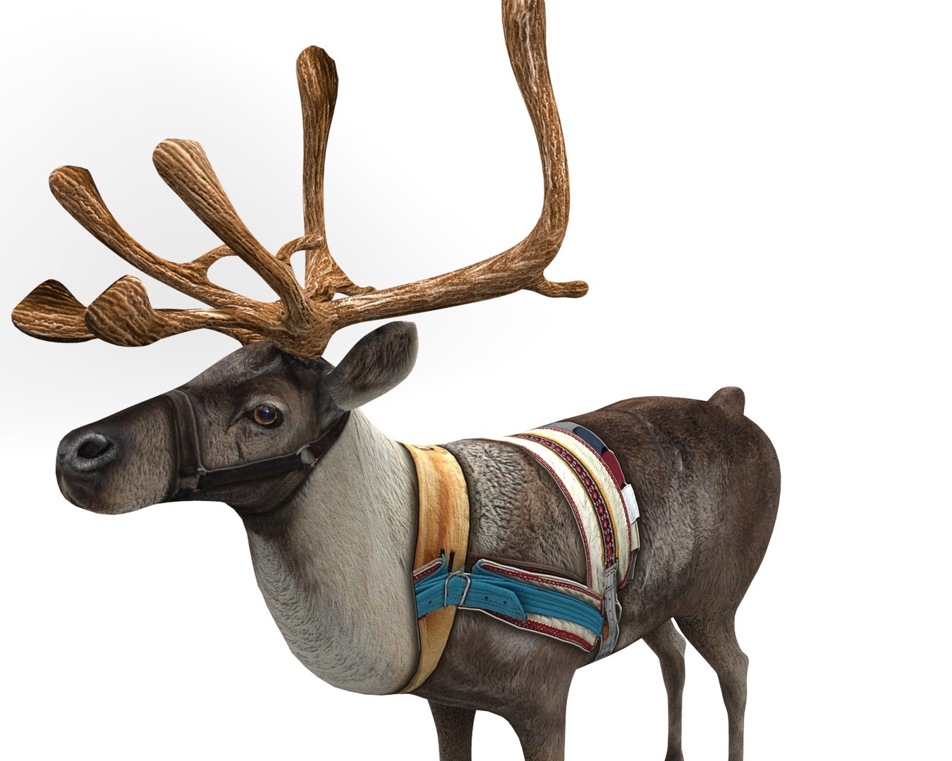 reindeer rigged deer 3D https://p.turbosquid.com/ts-thumb/dx/mdW0on/fplbllhl/untitled.184/jpg/1506596232/1920x1080/fit_q87/e4462e8e32d783e969e8ff307312d1d4ddce0596/untitled.184.jpg
