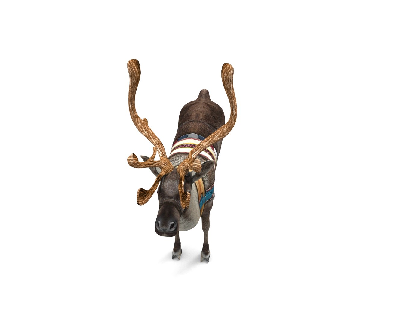 reindeer rigged deer 3D https://p.turbosquid.com/ts-thumb/dx/mdW0on/s97p9ZaQ/untitled.182/jpg/1506596232/1920x1080/fit_q87/0549cbf354b3b5467c90d9de2300a6c5150b492e/untitled.182.jpg