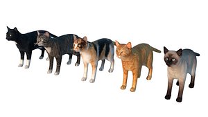Low-poly Cats big collection