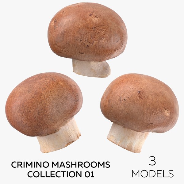 Crimino Mashrooms Collection 01 - 3 models 3D