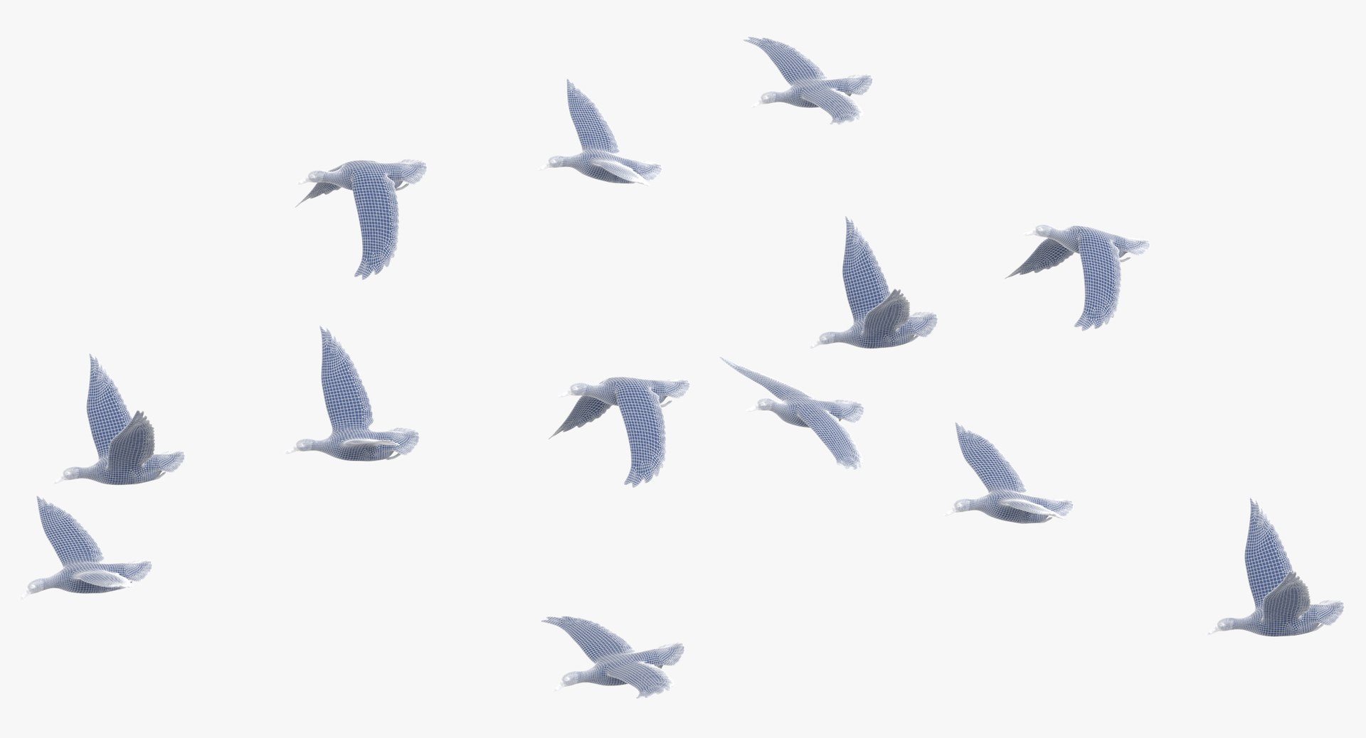 3D Small Flock Ducks Flying - TurboSquid 1312229