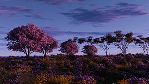 Flower field