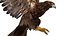 Golden Eagle Fur Animated Rigged