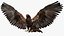 Golden Eagle Fur Animated Rigged