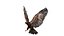 Golden Eagle Fur Animated Rigged