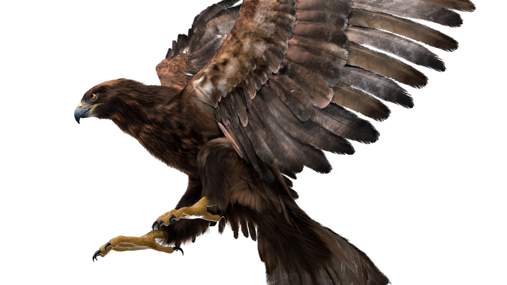 realistic golden eagle rigged 3D model https://p.turbosquid.com/ts-thumb/dy/Ewuwfh/7ysqyYA8/07/jpg/1582078468/1920x1080/fit_q87/1872fa8cbfa4117e37b743bde7ec7ae6fed2886b/07.jpg