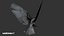 Golden Eagle Fur Animated Rigged