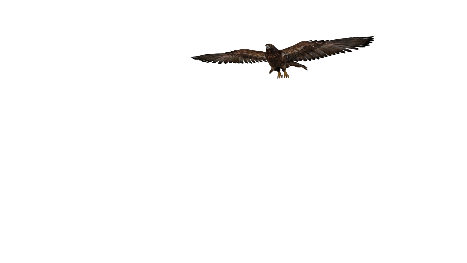 realistic golden eagle rigged 3D model https://p.turbosquid.com/ts-thumb/dy/Ewuwfh/c1JNLAf9/death/jpg/1594365212/1920x1080/turn_fit_q99/f609b8202b3a5220eae19b79d01b4fb2bb1a7893/death-1.jpg