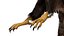 Golden Eagle Fur Animated Rigged