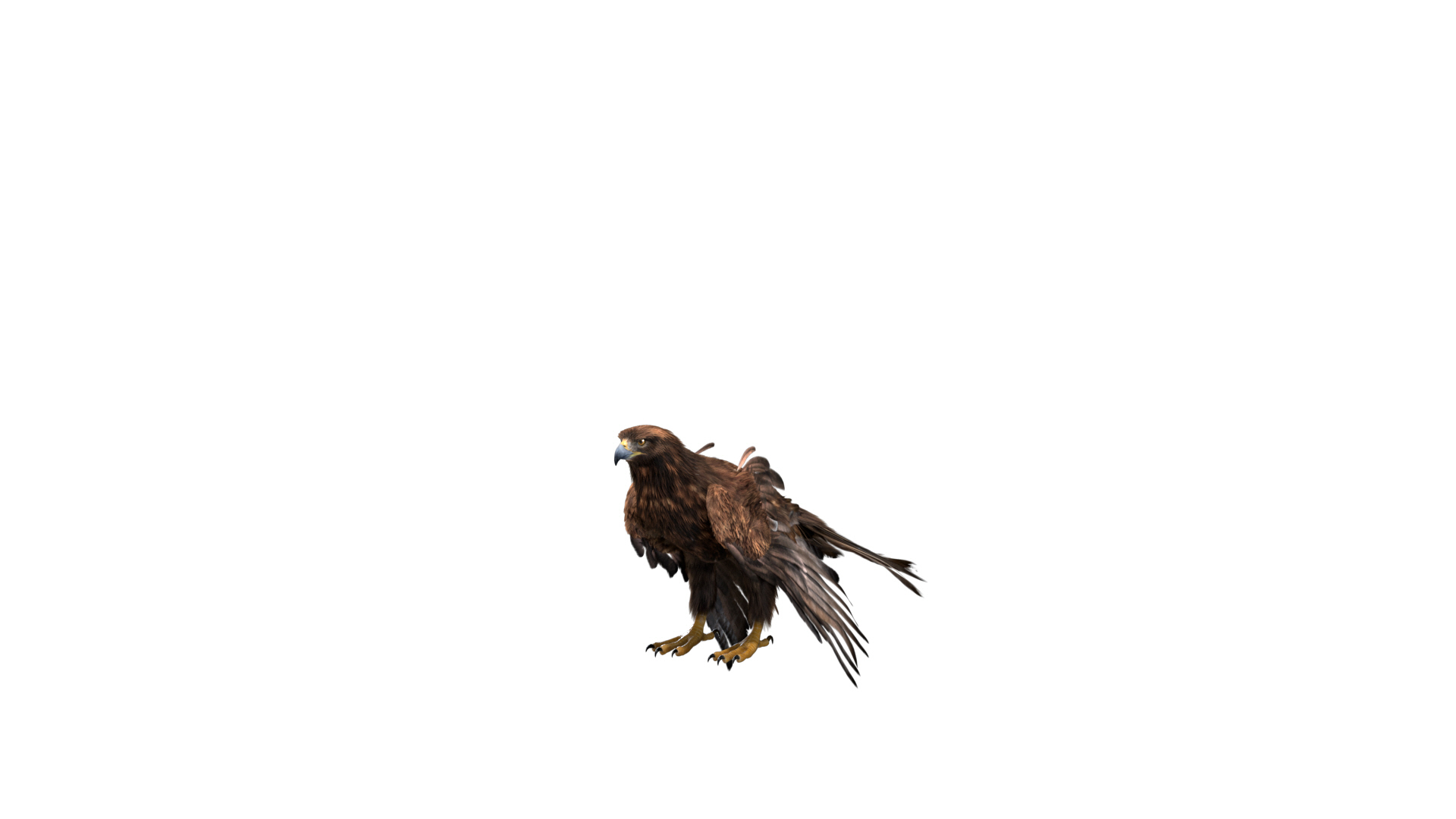 realistic golden eagle rigged 3D model https://p.turbosquid.com/ts-thumb/dy/Ewuwfh/l8JqGmgs/fly/jpg/1594365338/1920x1080/turn_fit_q99/ada907d2f6b263e13b5a842f8e6f85a7c6a9603c/fly-1.jpg