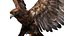 Golden Eagle Fur Animated Rigged