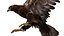 Golden Eagle Fur Animated Rigged