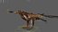 Golden Eagle Fur Animated Rigged